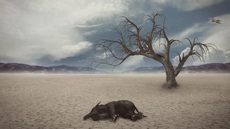 Ученые: человечество вызывает вымирание видов в масштабах, невиданных со времен динозавров