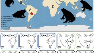 Ядовитые железы помогли жабам завоевать мир