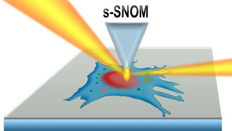 Новый метод инфракрасной спектроскопии позволяет изучать живые клетки в наномасштабе