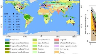 Ученые предложили новую модель для точной оценки глобального углеродного цикла