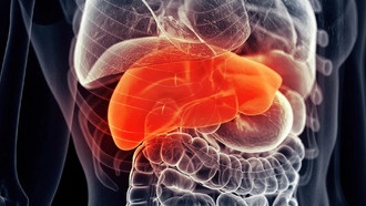 Добавка для печени может повысить эффективность иммунотерапии рака