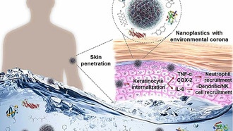 Наночастицы пластика могут проникать в кожу вместе с токсинами