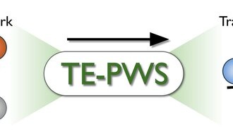 Создан алгоритм для точного измерения потока информации в сложных сетях