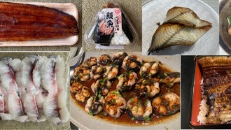 Большинство потребляемых в мире пресноводных угрей — исчезающие виды