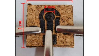 Ученые создали датчик из пробки для обнаружения опасного консерванта в напитках