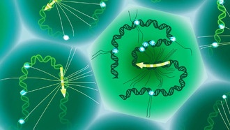 Ученые создали инструмент для одновременного анализа ДНК и РНК в одной клетке