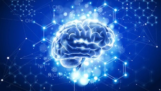 Ученые из Стэнфорда вырастили тысячи мини-мозгов с помощью пищевой добавки