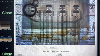 Ученые создали компьютер из мини-мозгов и предложили новую теорию расширения Вселенной