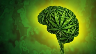 Генетика влияет на употребление каннабиса и связана с риском психических и физических заболеваний