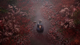 Психотерапевт объяснила, как Silent Hill f отражает реальные психологические проблемы