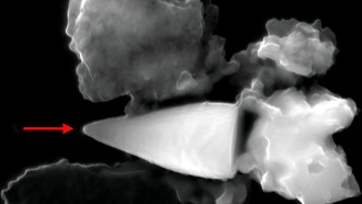 Гигантские магнетофоссилии могли служить древним организмам встроенным «GPS»