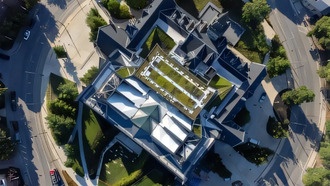 Исследование показало, как «зеленые крыши» в Торонто становятся здоровее с годами