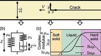 Математическая модель раскрыла причину заострения трещин при быстром разрыве резины