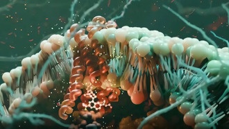 Ученые открыли новый механизм создания лекарств с меньшими побочными эффектами