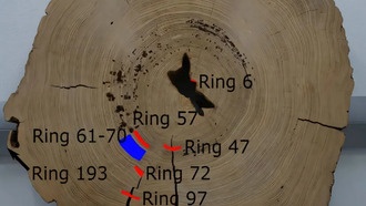 Гигантский деревянный столб помог определить пик могущества древнего города Кахокия