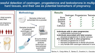 Ученые впервые обнаружили гормоны беременности в древних скелетах