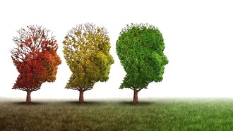 Ученые обратили вспять старение мозга и потерю памяти у мышей