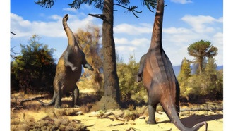 Южноамериканские динозавры могли легко вставать на задние лапы