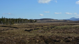 Ученые предупреждают: торфяники могут высвободить огромные запасы углерода