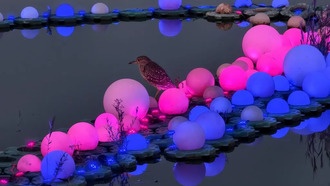 Vivo X300 Pro превзошел Galaxy S25 Ultra в тесте камеры