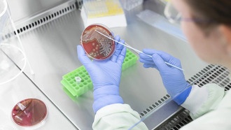 Новая диагностическая платформа поможет выявить пробелы в вакцинации и устойчивость к антибиотикам