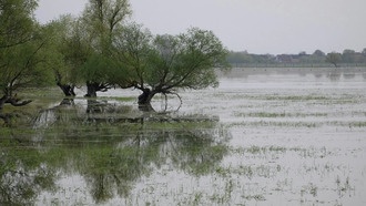 Эффект тупика: почему средиземноморские регионы становятся более уязвимыми для экстремальных наводнений