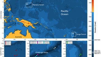 Ученые разработали метод измерения кислотности океана с помощью ветрового шума