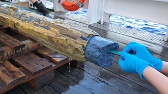 Жиры помогли обнаружить жизнь в экстремальных условиях глубоководных грязевых вулканов