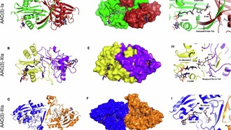Учёные обнаружили ферменты с уникальным механизмом устойчивости к антибиотикам