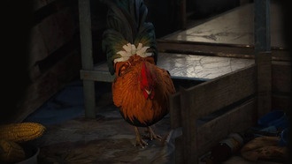 Где найти ошейник для собаки в Arc Raiders