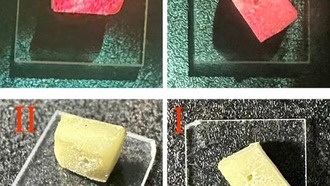 Ученые создали лазер из березовых листьев и арахиса