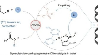 Химики нашли новое применение ДНК — в качестве катализатора для производства лекарств