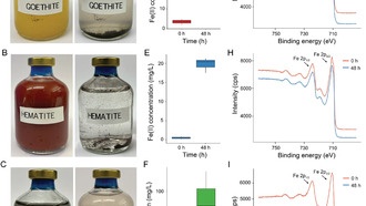 Бактерии открывают скрытые способности передачи электричества