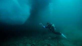 Анализ ДНК из океана показал огромные пробелы в картах морской жизни