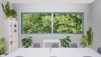 Слишком много комнатных растений может повысить уровень стресса