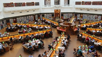 Генетика может влиять на выбор академической специальности