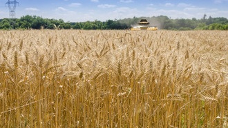 Севооборот повышает урожайность, питательность и доходы фермеров по всему миру