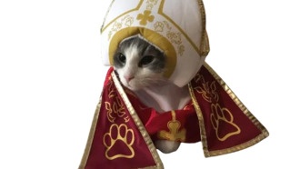 Как ускорить распространение институтов в Europa Universalis V