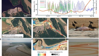 Температура воды в озерах Амазонии достигла смертельных 41°C