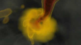 Объяснено происхождение «невозможных» сверхмассивных черных дыр