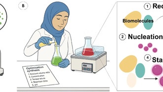 Ученые создали наночастицы золота для лечения рака с помощью микроводорослей