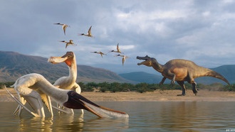 Новый вид птерозавра обнаружен в окаменелой рвоте динозавра