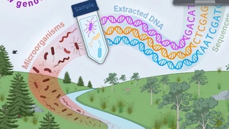 Открыты геномы 24 000 неизвестных микробов, включая новые ветви жизни