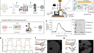 Новая технология MISO позволяет проводить крио-ЭМ анализ с минимальным количеством материала