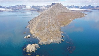 Водоросли помогли морской жизни пережить Великое вымирание