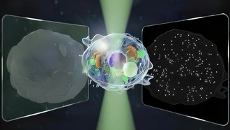 Создан «великий унифицированный микроскоп» для изучения структур от микро- до наноуровня