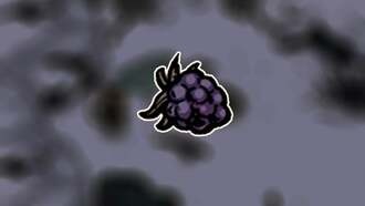 Где найти ежевику в Winter Burrow