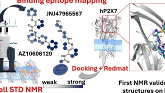 Новая методика ускорит разработку лекарств, воздействующих на ионные каналы
