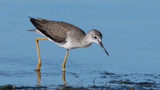Человеческие руки обладают сверхчувствительностью, а Солнечная система движется в 3 раза быстрее
