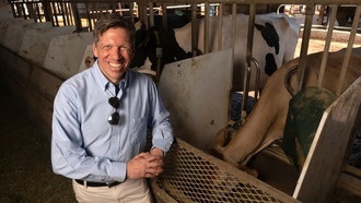 Ученые нашли способ снизить выбросы метана от коров